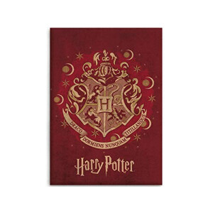 Plaid Harry Potter 100x140 cm