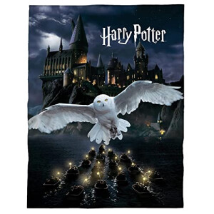 Plaid Sirius Black, Remus Lupin, James Potter, Gryffondor, Serpentard, Poudlard - Harry Potter - noir polyester 150x200 cm