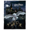 Plaid Sirius Black, Remus Lupin, James Potter, Gryffondor, Serpentard, Poudlard - Harry Potter - noir polyester 150x200 cm - miniature