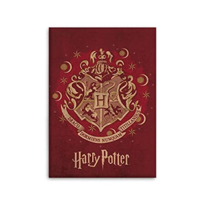 Plaid Harry Potter rose 100x150 cm