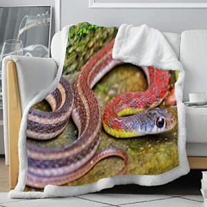 Plaid Serpent rouge coton 75x100 cm