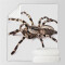 Plaid Araignée couleur polyester 150x200 cm - miniature variant 1