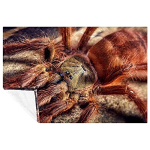 Plaid Araignée multicolore polyester 150x100 cm