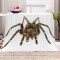 Plaid Araignée couleur polyester 130x150 cm - miniature