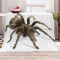 Plaid Araignée multicolore polyester 70x100 cm - miniature