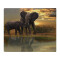 Plaid Éléphant couleur polyester 150x200 cm - miniature