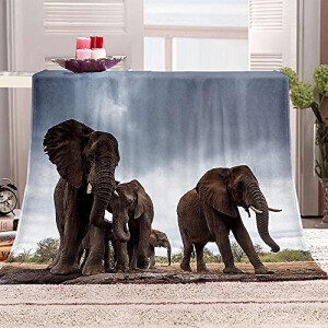 Plaid Éléphant 180x200 cm