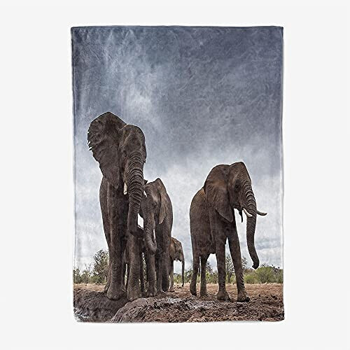 Plaid Éléphant 180x200 cm variant 1 