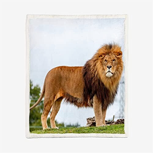 Plaid Lion couleur laine 130x150 cm variant 0 